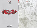 AMAZING SPIDER-MAN