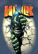 INCREDIBLE HULK RETURN OF THE MONSTER HC OMNIBUS DEODATO DM CVR