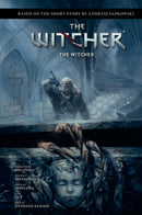 ANDRZEJ SAPKOWSKIS WITCHER THE WITCHER HC