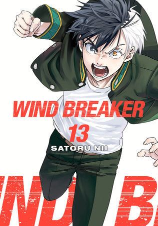 WIND BREAKER GN VOL 13