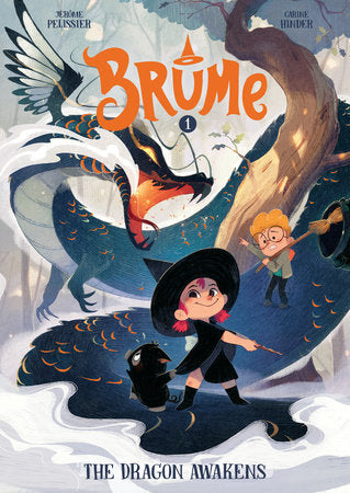 BRUME HC VOL 01