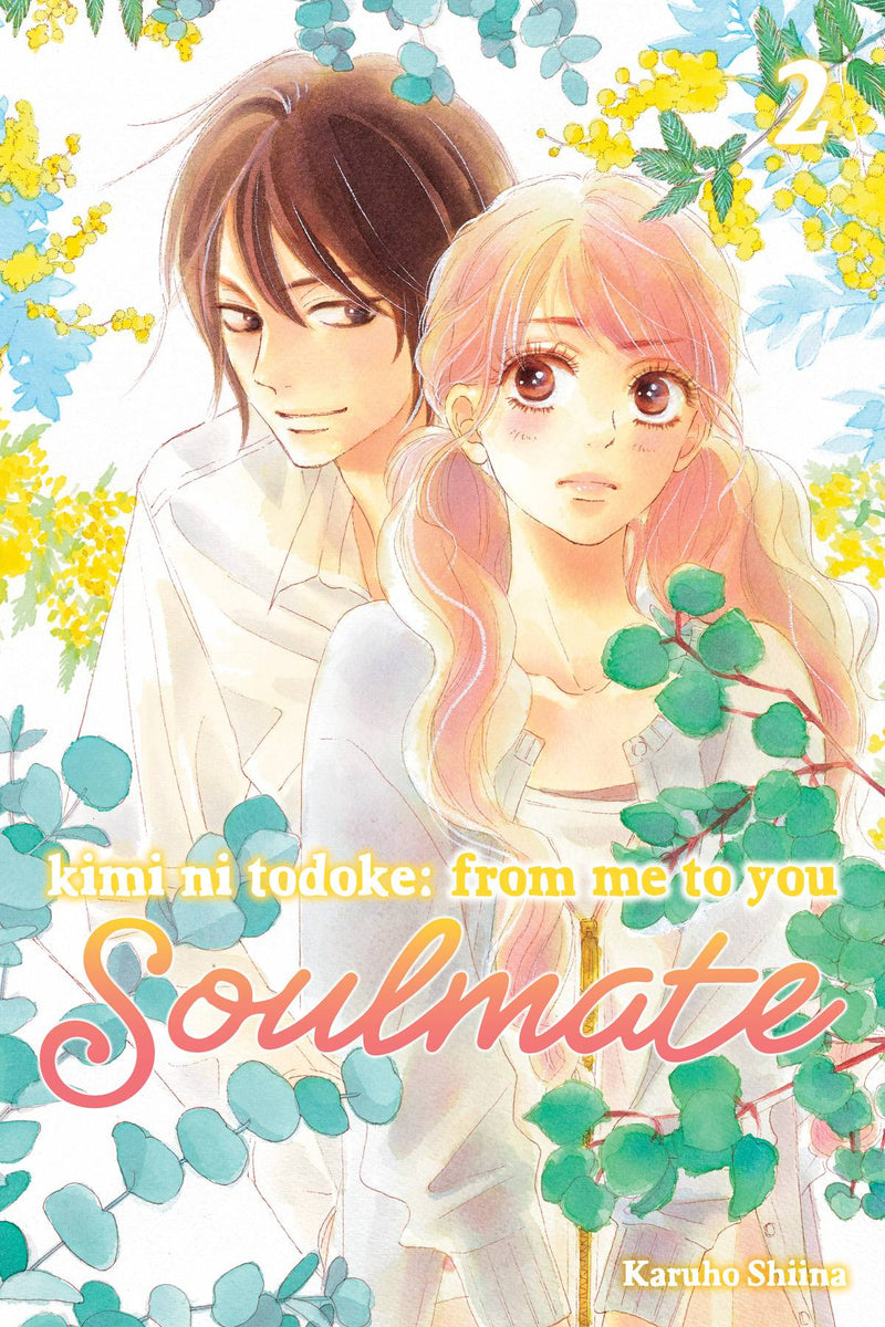 KIMI NI TODOKE FROM ME TO SOULMATE GN VOL 02 (C: 0-1-2)