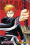 BLEACH 3IN1 TP VOL 01