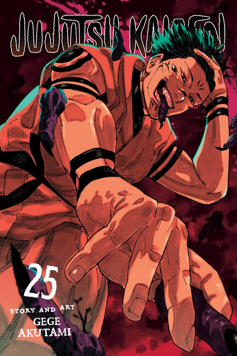 JUJUTSU KAISEN GN VOL 25 (C: 0-1-2)
