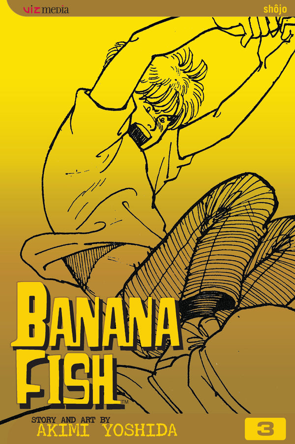 BANANA FISH GN VOL 03