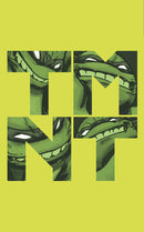 TMNT HC BOX SET VOL 01