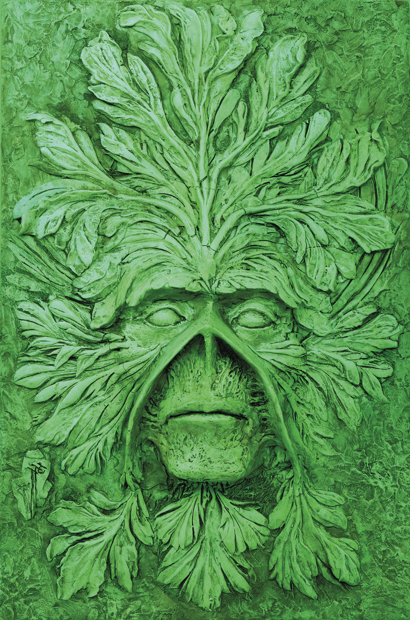 ABSOLUTE SWAMP THING HC VOL 01 BY ALAN MOORE