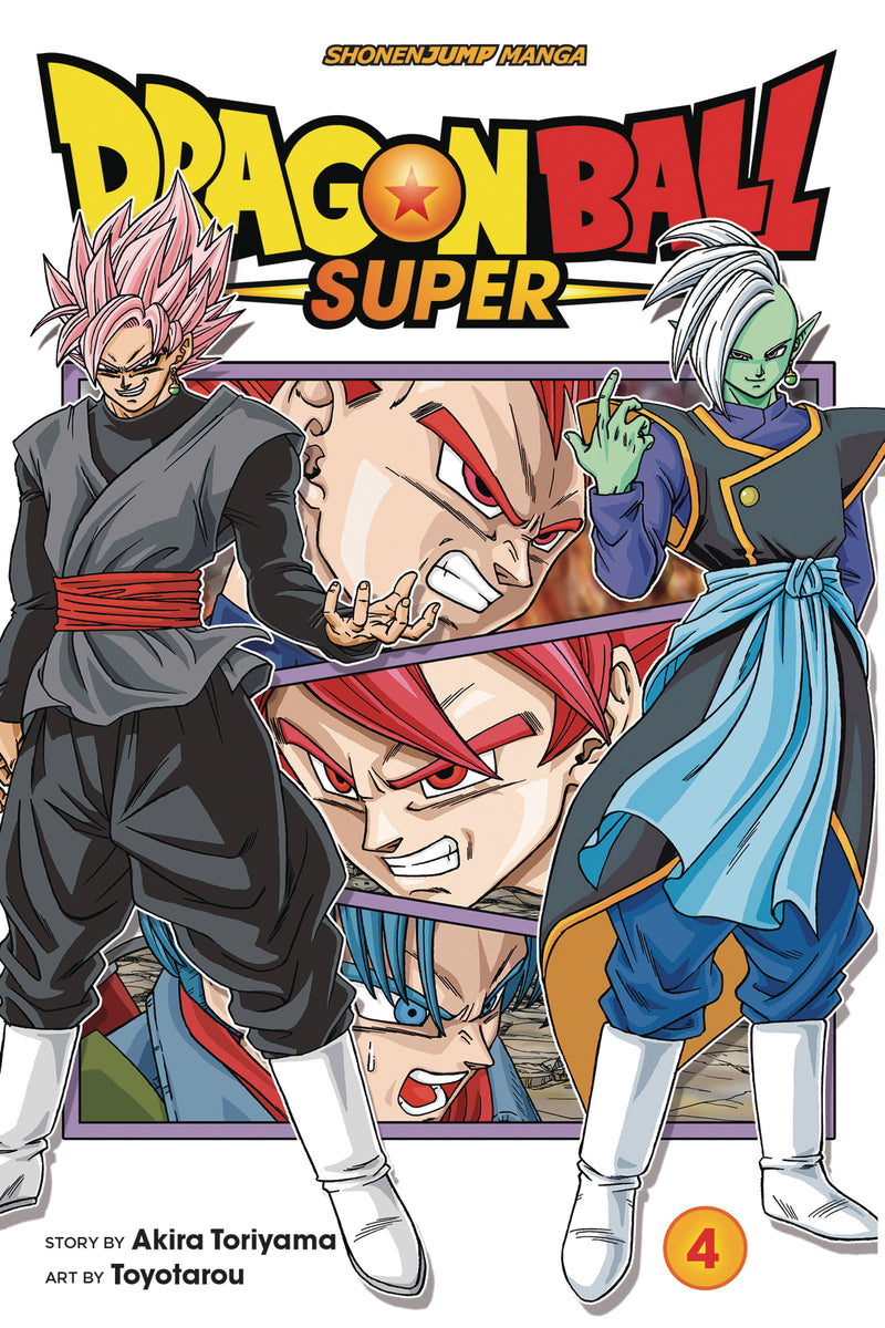 DRAGON BALL SUPER GN VOL 04 (C: 1-0-1)