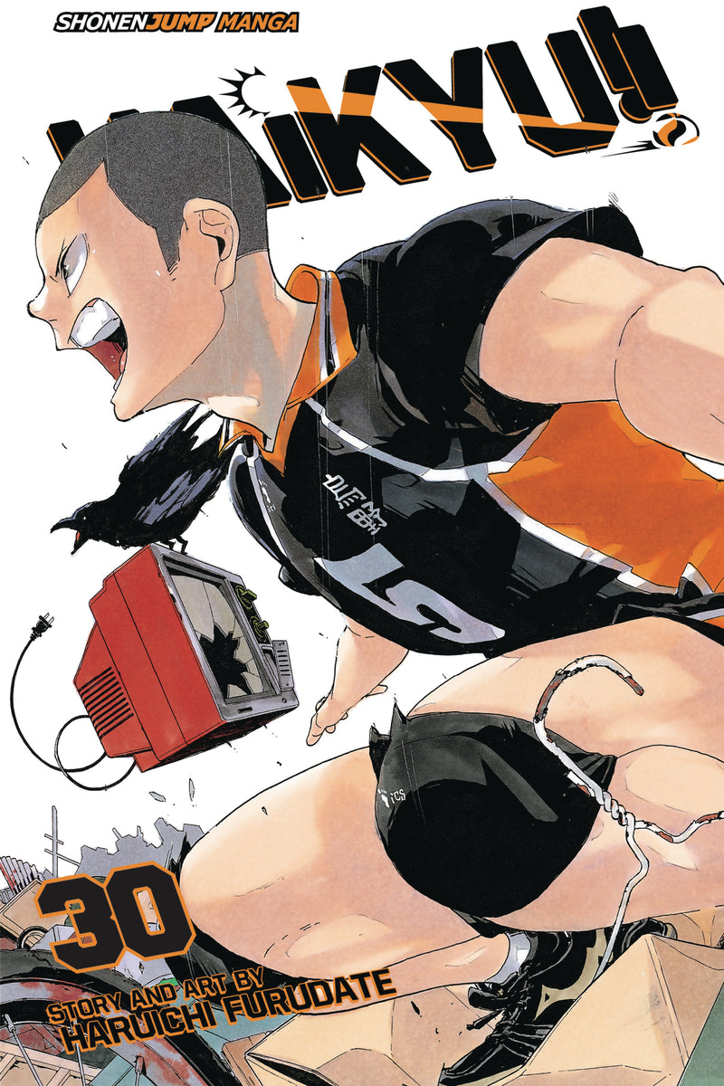 HAIKYU GN VOL 30 (C: 1-0-1)