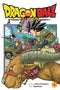 DRAGON BALL SUPER GN VOL 06 (C: 1-0-1)