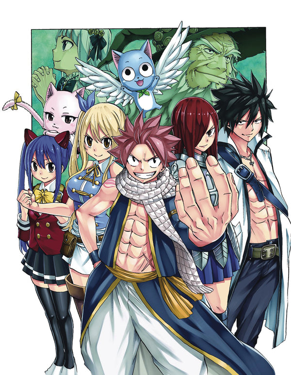 FAIRY TAIL 100 YEARS QUEST GN VOL 02 (C: 1-1-0)