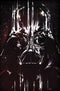 STAR WARS DARTH VADER POSTER BOOK TP