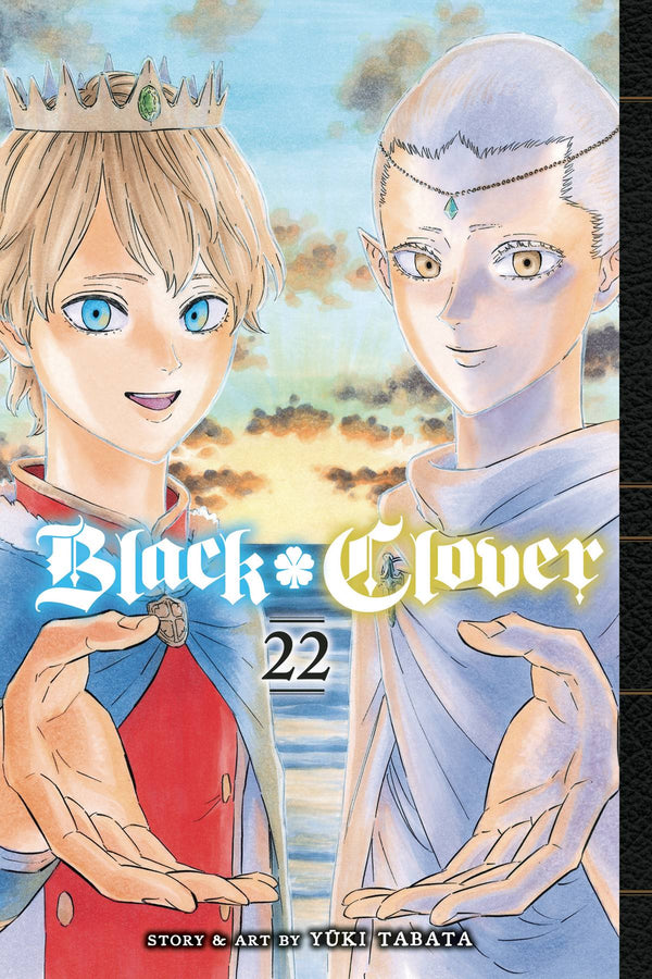 BLACK CLOVER GN VOL 22