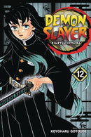 DEMON SLAYER KIMETSU NO YAIBA GN VOL 12 (C: 1-1-2)