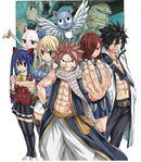 FAIRY TAIL 100 YEARS QUEST GN VOL 09 (C: 0-1-1)