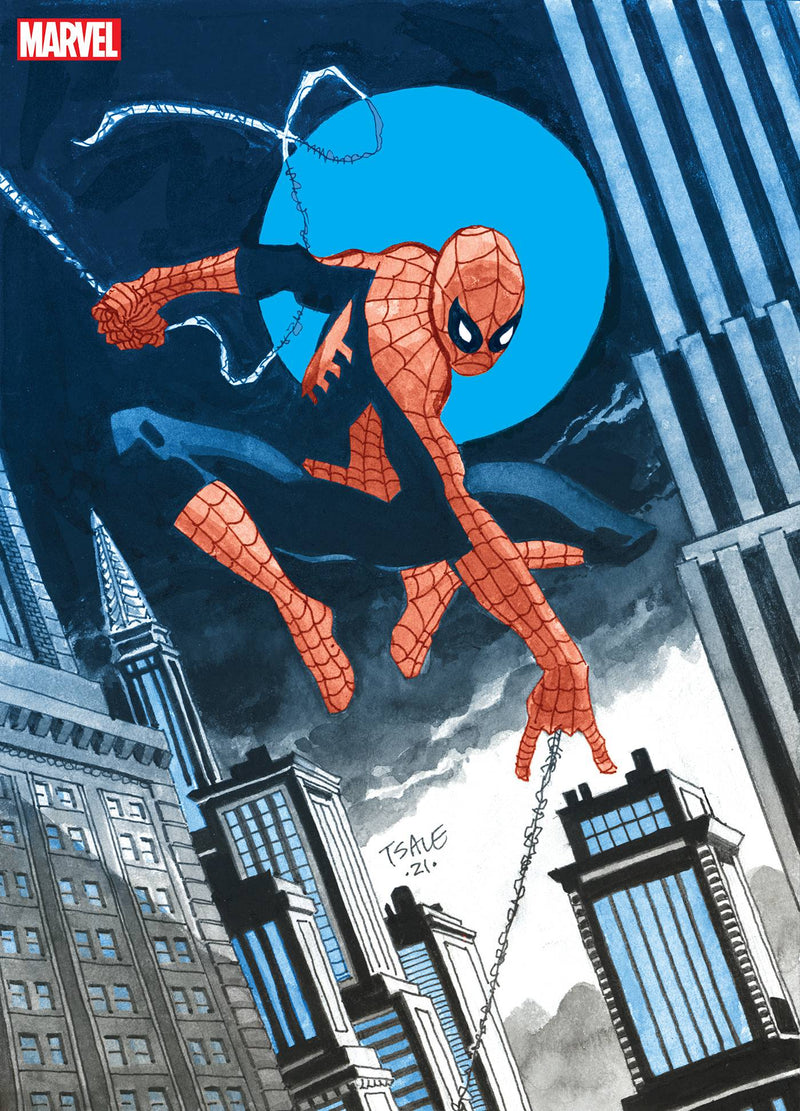 JEPH LOEB TIM SALE SPIDER-MAN GALLERY EDITION HC DM VAR