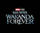 MARVEL STUDIOS BLACK PANTHER WAKANDA FOREVER ART MOVIE TP